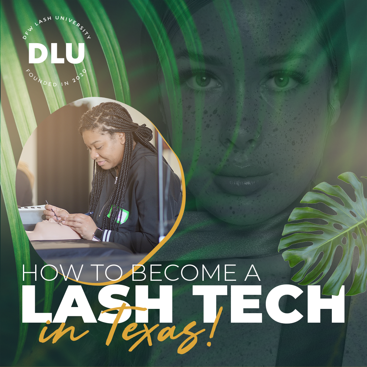 dfw-lash-university